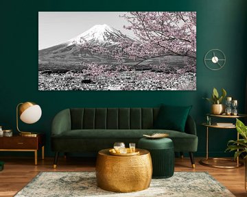 Pittoresk panoramisch uitzicht op de berg Fuji tijdens de kersenbloesem | colorkey van Melanie Viola