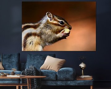 Siberian ground squirrel by Anne Ponsen