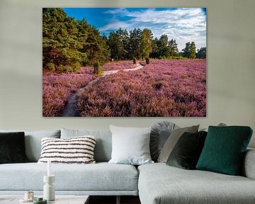 Heidebloesem landschap van Tanja Riedel
