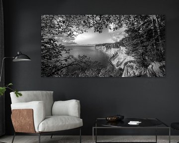 Kreidefelsen auf Rügen in schwarzweiss von Manfred Voss, Schwarz-weiss Fotografie