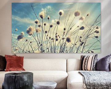 Paardenbloem sur Julia Delgado