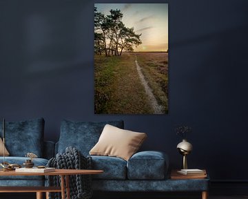 Paadje op de bloeiende heide bij zonsondergang op de Bussumerheide van Marianne Eggink - Fotografie en digitale kunst