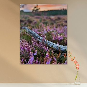 Verwitterter Ast im Heidekraut der Bussumer Heide - AI