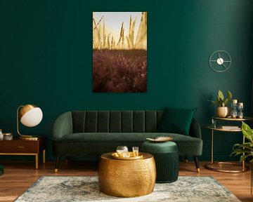 Heide en gras bij de ondergaande zon van Marianne Eggink - Fotografie en digitale kunst