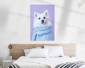 Amerikaanse Eskimo Hond van Poster Art Shop