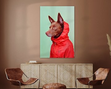Australische Kelpie van Poster Art Shop