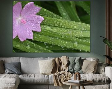 The garden after the rain by Claude Laprise