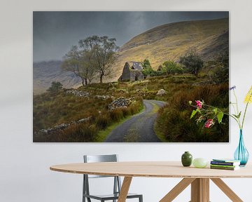 Black valley van Antwan Janssen
