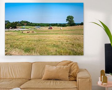 Rural life on the Baltic Sea by Werner Lerooy