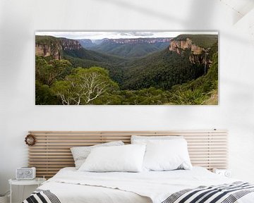 Blue Mountains Panorama, NSW Australie van Chris van Kan