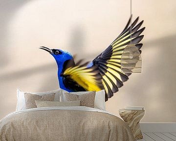Flight of Colour - Enchanting Blue Bird by Femke Ketelaar
