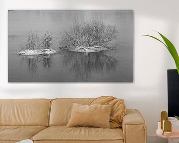 Bushes in frozen high water .