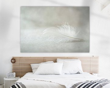 The gentle elegance of a feather by Poster Art Shop