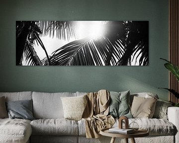 Sun rays through palm leaves by Poster Art Shop