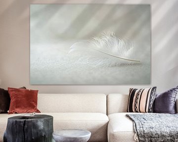 The gentle elegance of a feather by Poster Art Shop