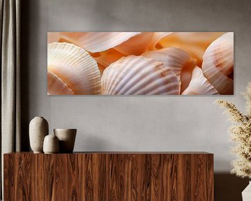 Schelpen in een delicaat kleurenspel van Poster Art Shop