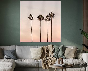 Palm tree in a gentle sunset by Poster Art Shop