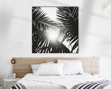 Rayons de soleil à travers les palmiers sur Poster Art Shop