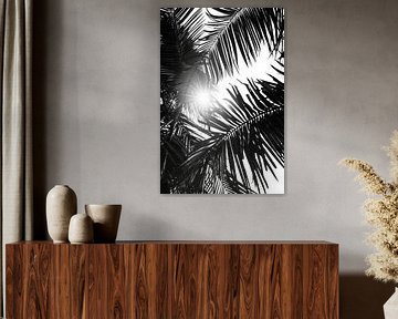 Sun rays through palm leaves by Poster Art Shop