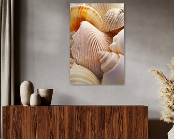 Focus on the diversity of mussels by Poster Art Shop