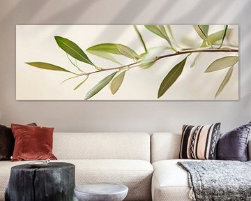 Delicate olijftakken in het licht van Poster Art Shop