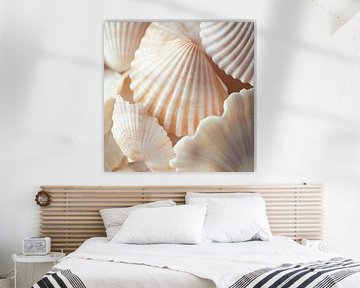 Delicate shells on the beach by Poster Art Shop