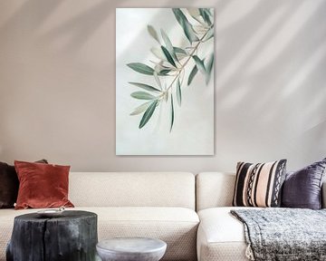 Delicate olijfbladeren in focus van Poster Art Shop