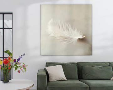 Plume délicate sur fond doux sur Poster Art Shop