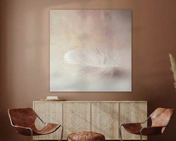 L'élégance délicate d'une plume sur Poster Art Shop