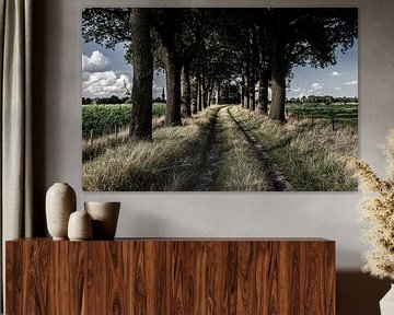 Landscapes in Drente by Brian Morgan