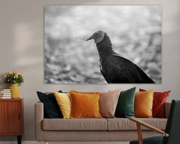 Wijsheid in de Schaduw Portret van een Gier van Femke Ketelaar