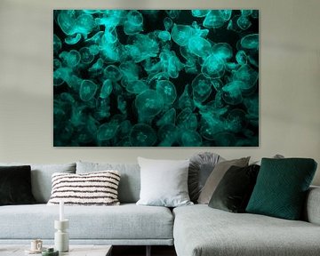 turquoise jellyfish against black sea by Stella Ammerlaan