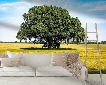 Large tree in grain field by Werner Lerooy