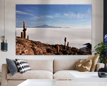 Isla Incahuasi : Cactus oasis in the middle of the Salar d'Uyuni