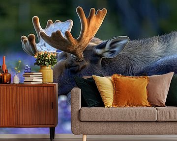 Ruhender Elch in Lavendel