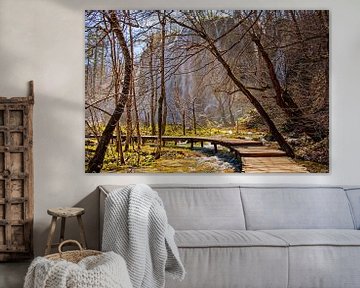 Een houten loopbrug in het bos naar de waterval van Holger Ostwald