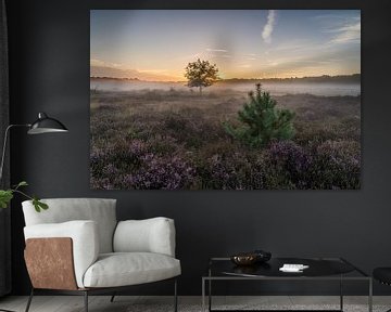 Kerstboom bij zonsopkomst op de Tafelbergheide van Jeroen de Jongh Fotografie
