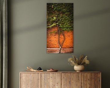Helemaal tot aan de top van de muur. van Robby's fotografie