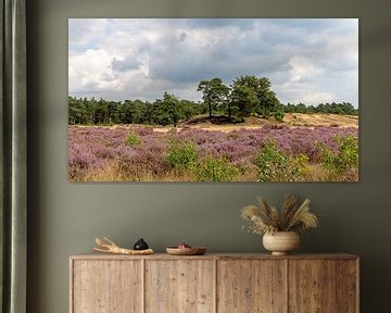 Landschapsfotografie - De Heide... van Bert v.d. Kraats Fotografie