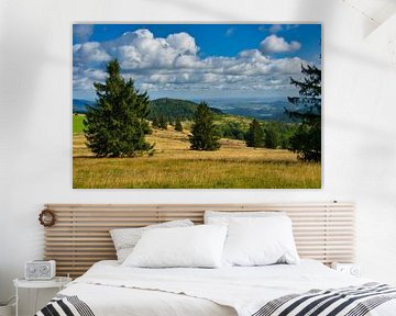 Landschap in de Vogezen van Tanja Voigt