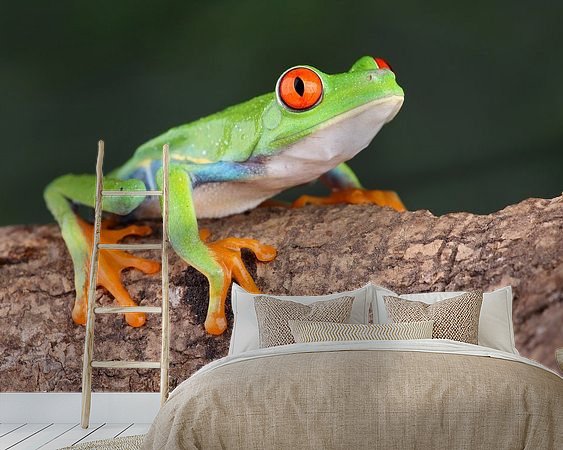 Aperçu de la chambre