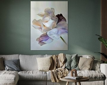Droombloem van haroulita
