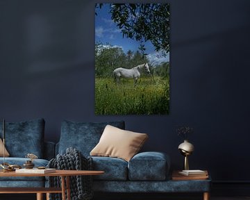 White horse in tall grass with flowers. by Albert Brunsting