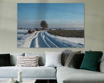 Winterlandschap rond Gulpen-Wittem, Zuid Limburg. van Marjolein Zijlstra