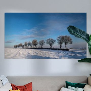 Winter landscape around Gulpen-Wittem, South Limburg.