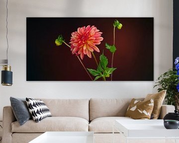 Red Dahlia by Ben Winckelmans
