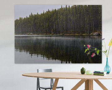 Mist op het water van Eline Huizenga