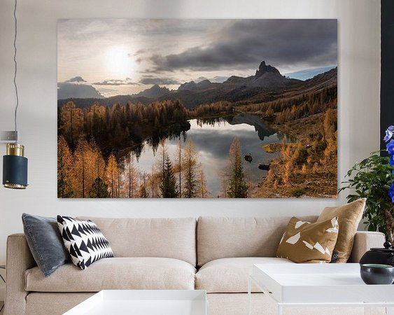 Aperçu de la chambre