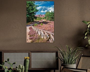 Bloeiende heideplanten in heidelandschap tijdens de zomer van Sjoerd van der Wal Fotografie