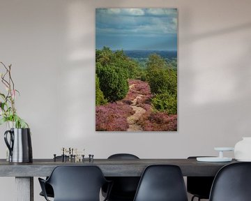 Bloeiende heideplanten in heidelandschap tijdens de zomer van Sjoerd van der Wal Fotografie